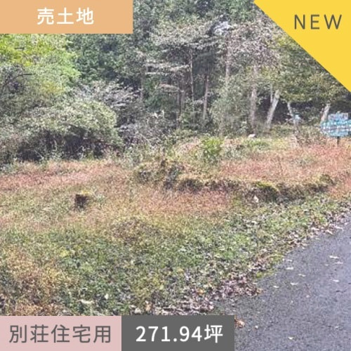 売土地 裾野市須山(十里木高原別荘地十里木6丁目)899.00㎡